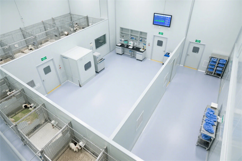 4000平合肥動物研究實驗室建設方案分享
