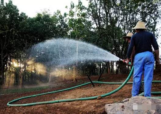 行道樹澆水 行道樹澆水